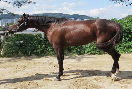 �ܽ�Ƽ�ַ� ����