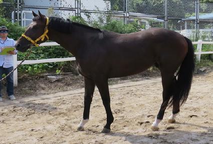 ĸƾ�Ҹ� ����