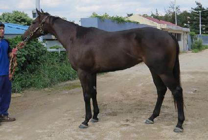 �ݺ����� ����