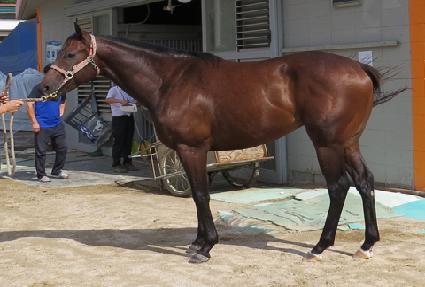 �Ŀ���Ʈ ����