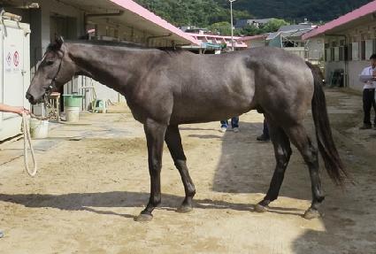 �׷��̵� ����