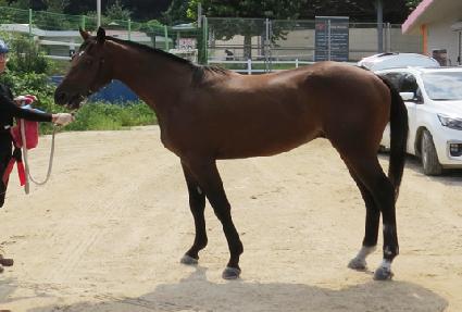 ��缭�� ����