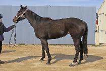 ��Į�翩�� (MAKALU YEOJE) ����