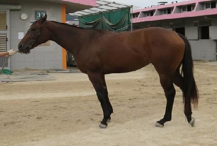 �������� ����