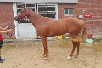 ���ǵ���� ����