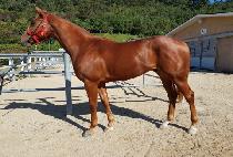 ���̽����� (NICE CHANCE) ����