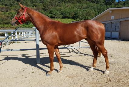 ���̽����� ����