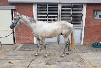 ������ (WORLD TOP) ����