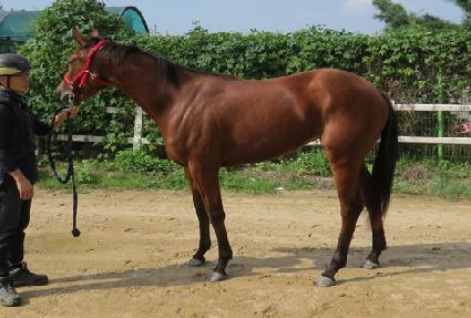 ����Ƽ�� ����