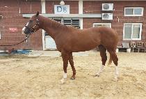 ĳġ���۷θ� (CATCH THE GLORY) ����