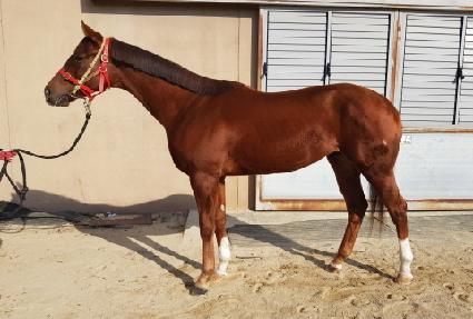 �±غ��� ����