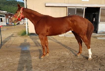 ������ ����