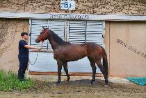 ������� (GEOMEUN SSONSAL) ����