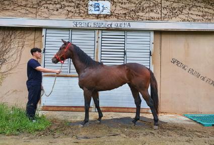 ������� ����