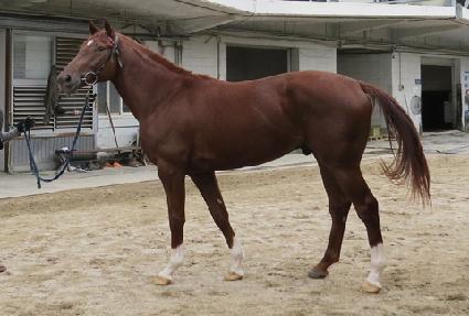 ġ��ġ�� ����