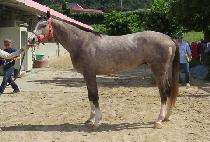 ���ư���� (UNBEATEN GUY) ����