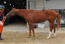 ���÷��� (TOP PLAY) ����