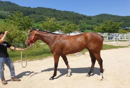 Ǯ�Ӵ� ����