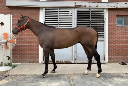 �������� ����