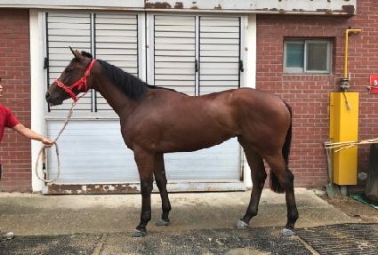 ������ ����