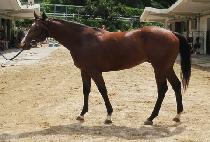 ���п� (MOONHAK WAR) ����