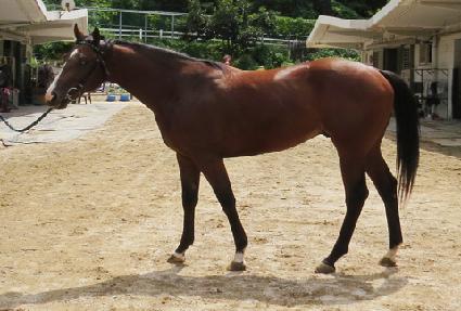 ���п� ����