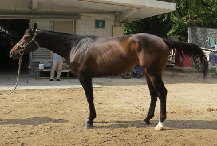 ���п����̾� ����