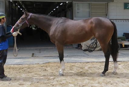 ���й̽�ġ�� ����