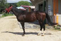 ���н�ī�� (MOONHAK SKY) ����