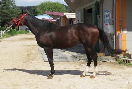 ���н�ī�� ����