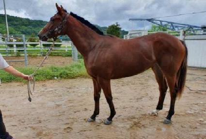 �ΰ�õ�� ����