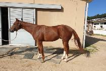 ����ŷ���� (STORM KING IJI) ����