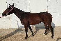 ����Ƽ���� (MY TIZ GEM) ����