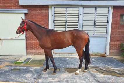 ��Ʈ���� ����