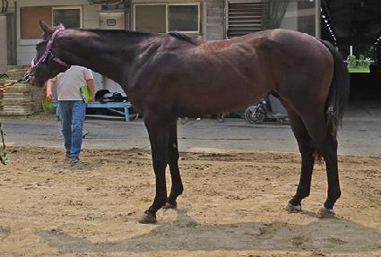 �ƽ����¾� ����