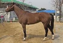 �ºλ� (SEUNGBUSA) ����