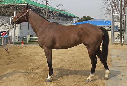 �ºλ� ����