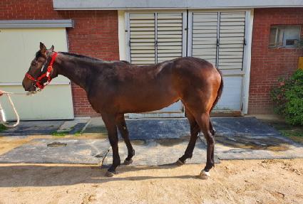 ���׿��̽� ����