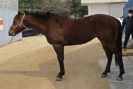 �ε忡�̽� ����