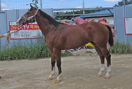 ������ ����