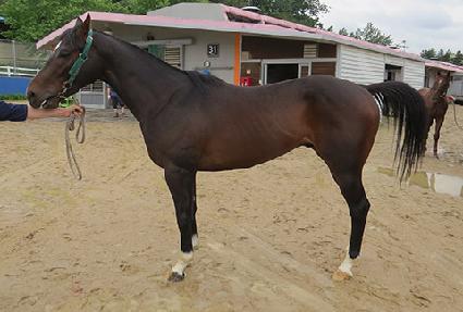 �޴Ͽ���Ǯ ����