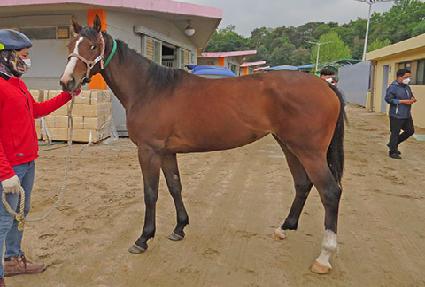 �շ� ����