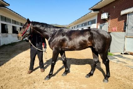 �������� ����