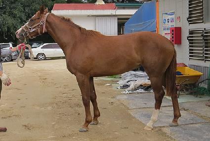 ��Ÿ�ö�� ����