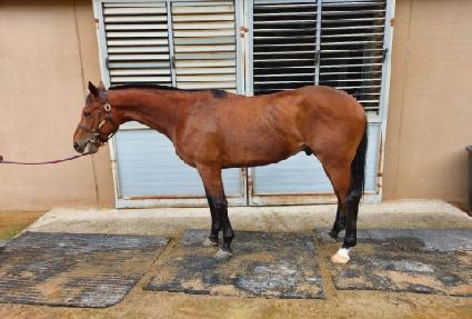 ��������ġ ����