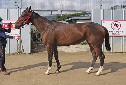 �������� ����