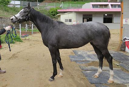 ����� ����