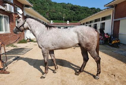 ������ ����