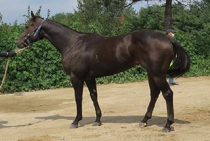 Ư�� ����