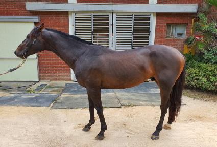 ���ǵ�ε� ����